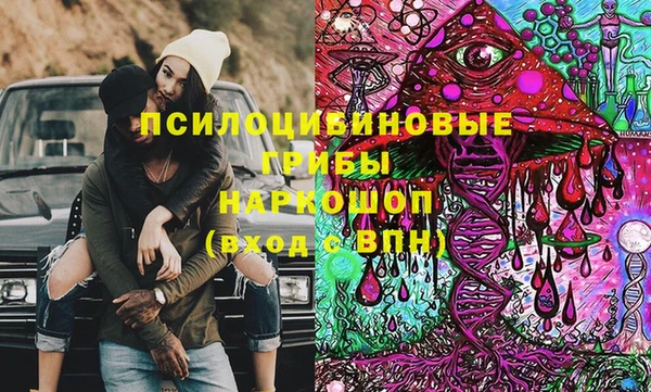 ALPHA PVP Верея